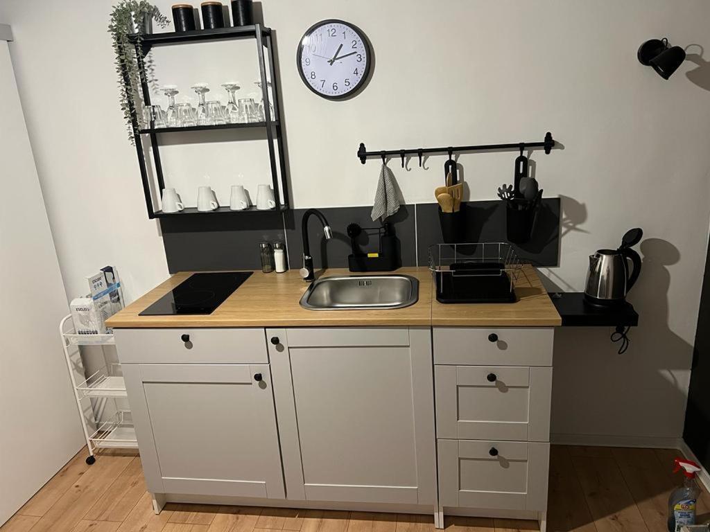 4 Stars Apartments Near Airport 大戈里察 外观 照片