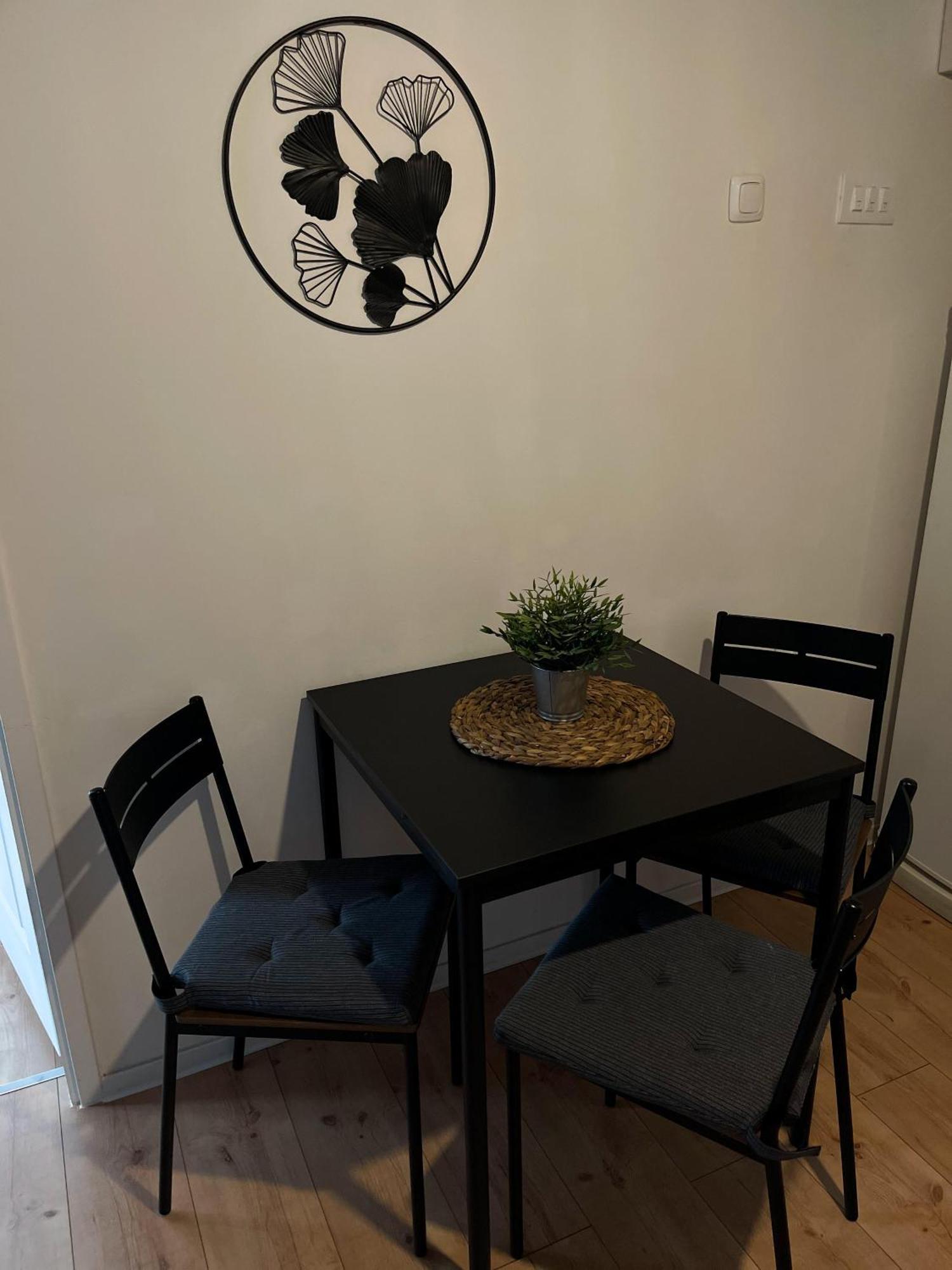 4 Stars Apartments Near Airport 大戈里察 外观 照片